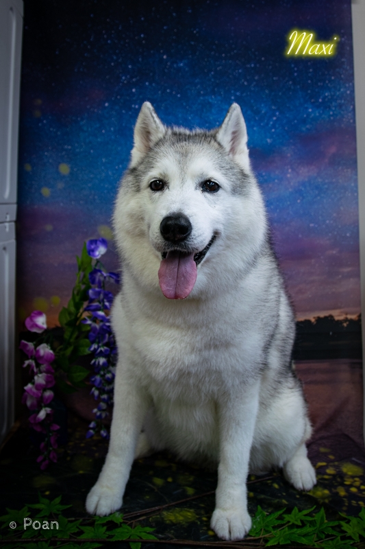 DSC_3779.jpg