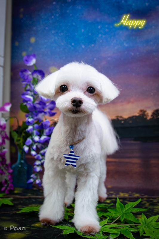 DSC_3864.jpg