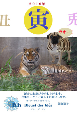 tora