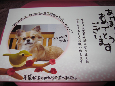 wanko-nenga