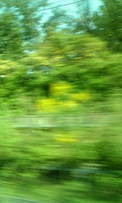 DVC00115.jpg