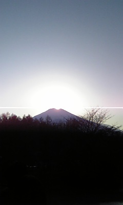 100228_164500.jpg
