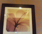 20060512_181593.jpg