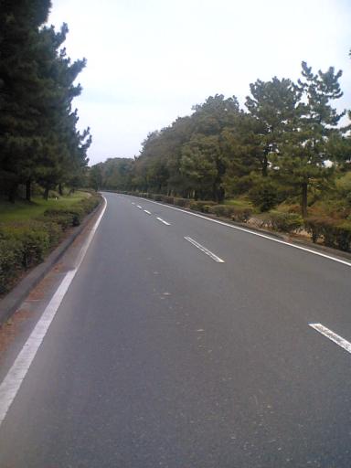 秋が瀬公園