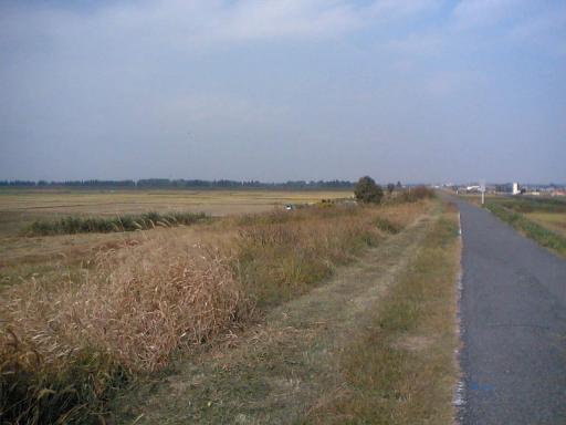 田園風景