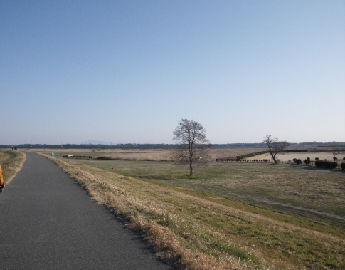 Imgp1318.jpg