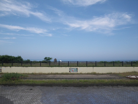 IMGP1528.jpg