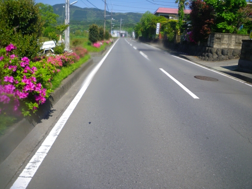 Imgp0154.jpg