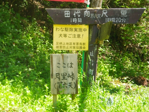 Imgp0182.jpg