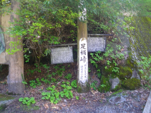 Imgp0160.jpg