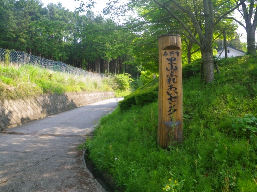 Imgp0195.jpg