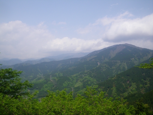 Imgp0213.jpg
