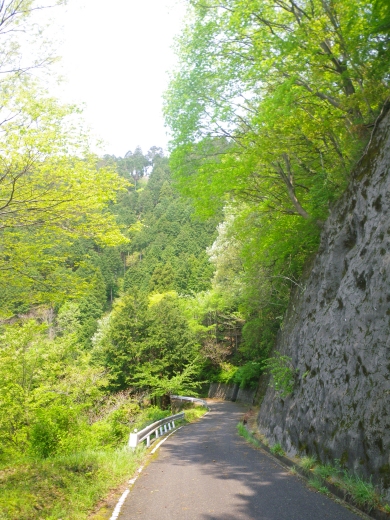 Imgp0225.jpg