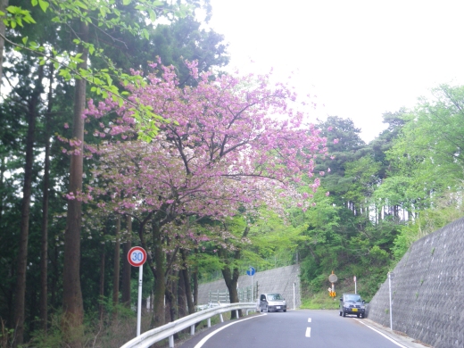 Imgp0204.jpg