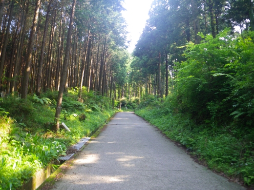 Imgp0196.jpg