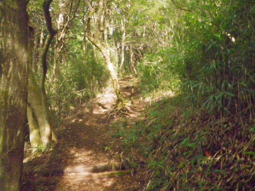 Imgp0908.jpg