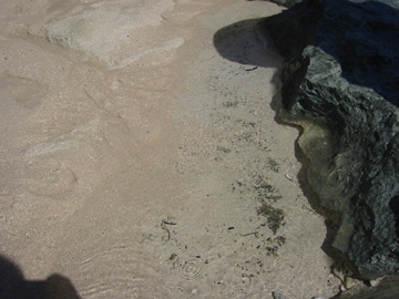 グリーン島