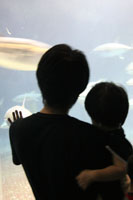 水族館3