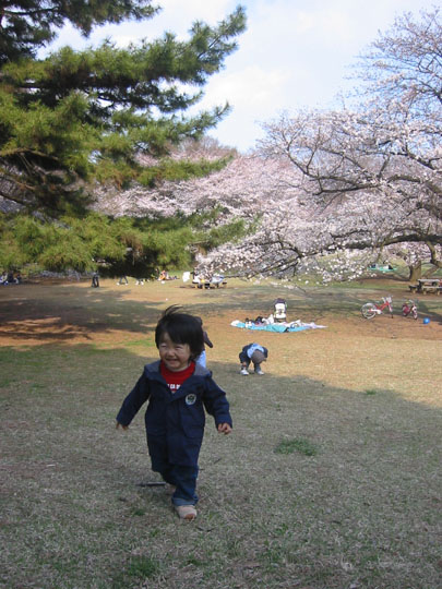 お花見♪