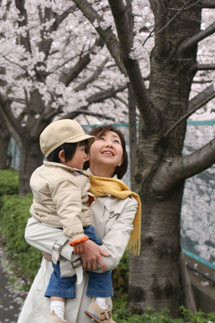 2度目の桜♪