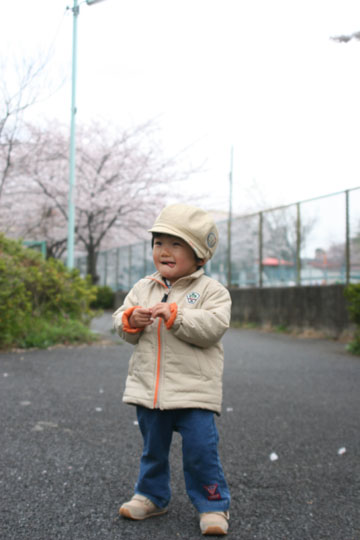 2度目の桜♪