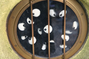 三鷹の森ジブリ美術館