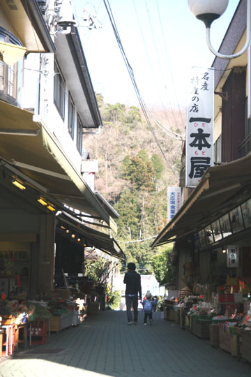 SLの旅