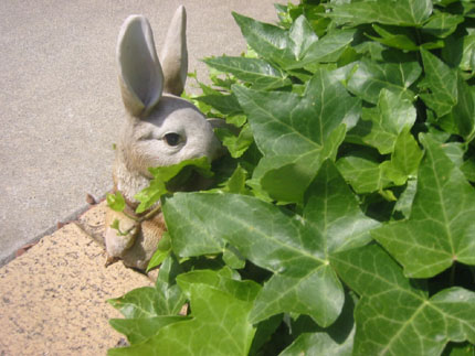 似たもの親子