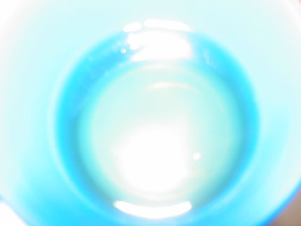 似たもの親子