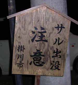 25サル出没注意