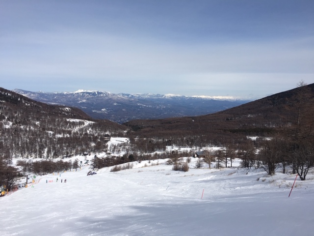 image1.jpeg