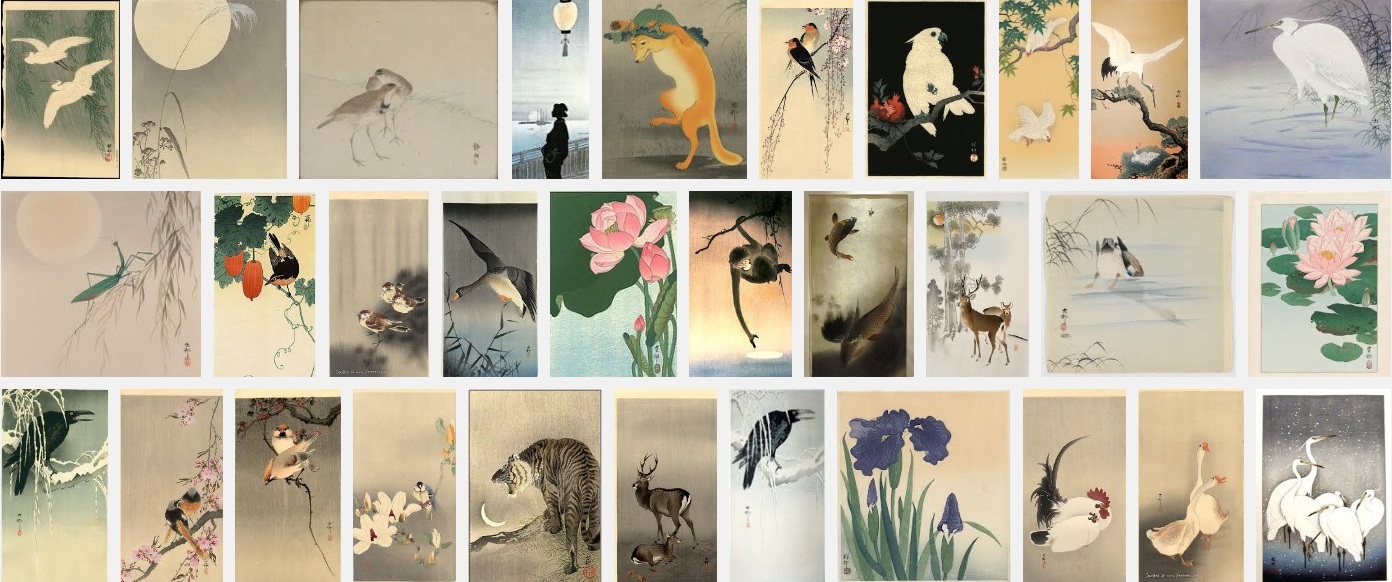 JAPAN美品 伊藤若冲 画集 日本画 屏風画 貴重 歴史 水彩画 鳥 花 絵画 JAPAN美品 伊藤若冲 画集 日本画 屏風画 貴重 歴史 水彩画 鳥 花