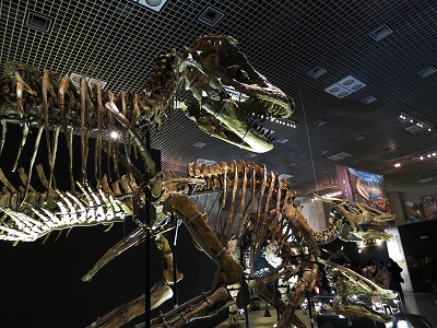 大恐竜展」ゴビ砂漠の驚異に白鵬関がやって来た！ | 青い日記帳