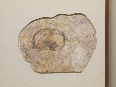 特別展「キトラ古墳壁画」 | 青い日記帳 特別展「キトラ古墳壁画」 | 青い日記帳