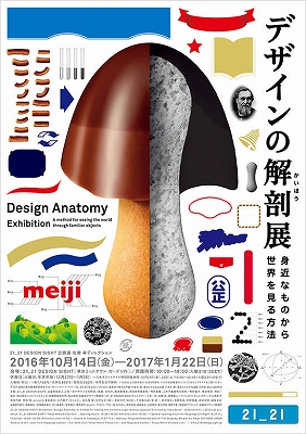 デザインの解剖学」 | 青い日記帳