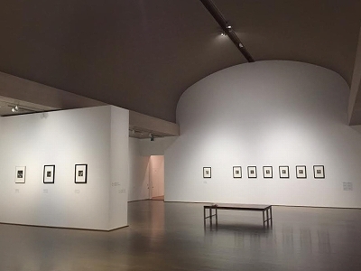 ヴォルス展」 | 青い日記帳