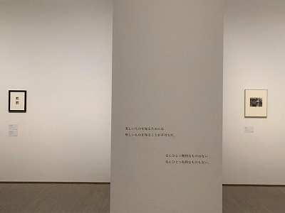 ヴォルス展」 | 青い日記帳