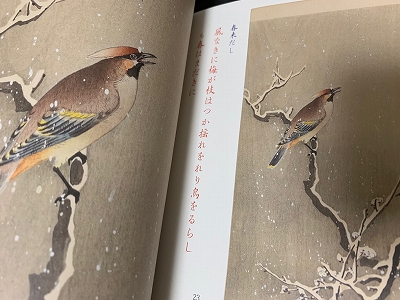小原古邨』 | 青い日記帳