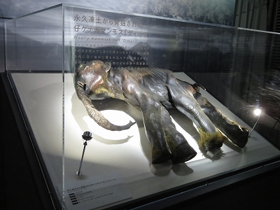 マンモス展」 | 青い日記帳