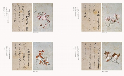 うぬまま様専用 桜狂の譜 江戸の桜画世界/版画の技法/オービル