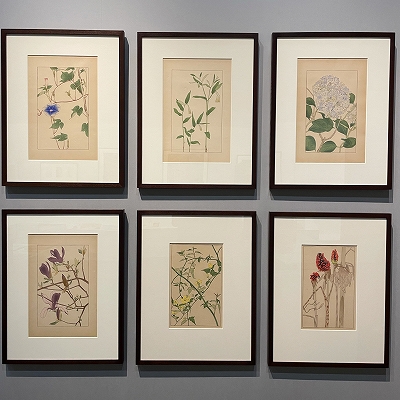 杉浦非水展」 | 青い日記帳 杉浦非水展」 | 青い日記帳