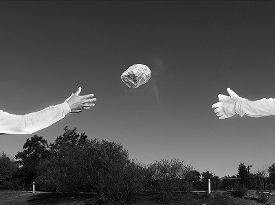 アレック・ソス Gathered Leaves」 | 青い日記帳