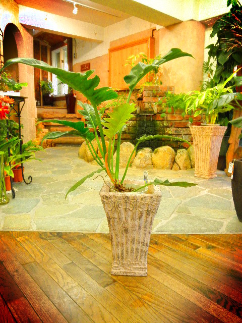 111023f.JPG