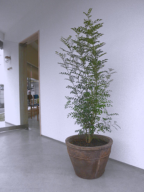 PB280509.JPG