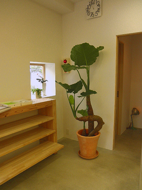 PB280510.JPG