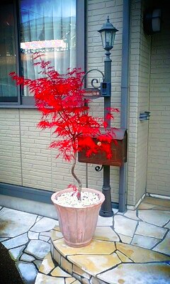 111204_1508~0002.jpg