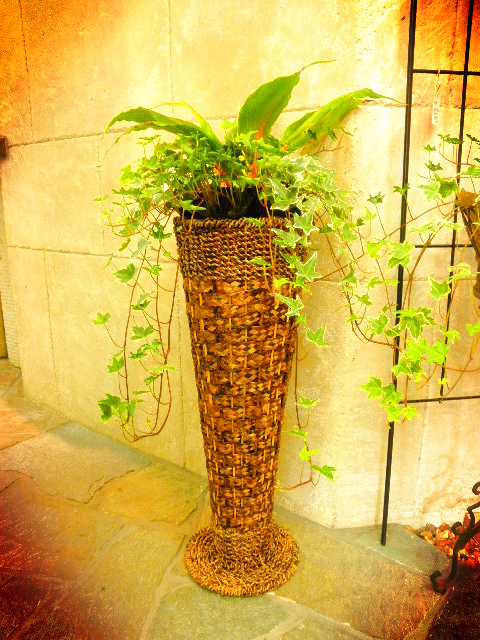 20120124h.JPG