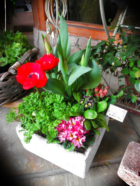 P1220775.JPG