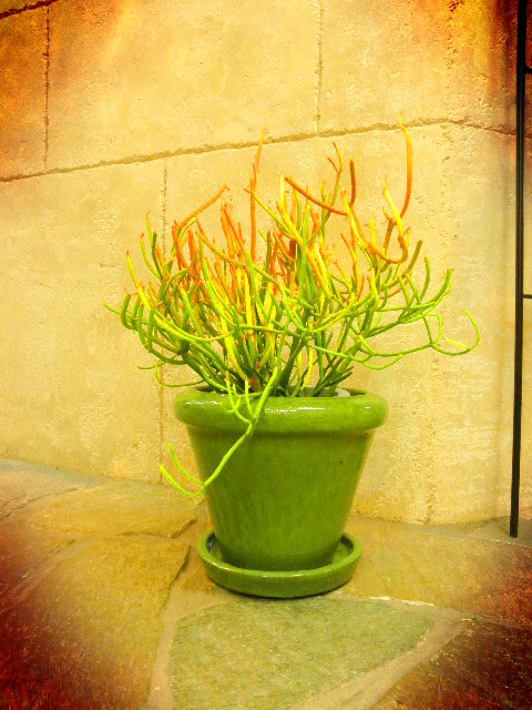 20120209a.JPG