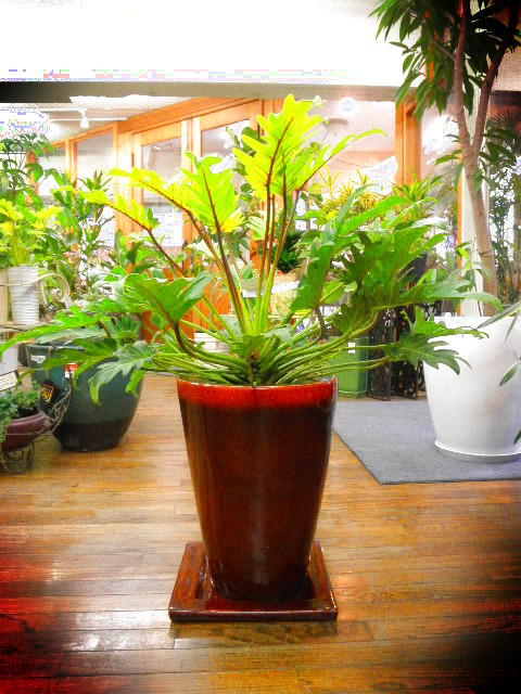 20120209f.JPG